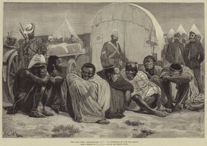 A zulu háború, Cetewayo király követei a békéért folyamodnak